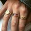 Zelda drie kleuren ring 14k gold