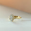 Galaxy diamant entourage ring 14k goud