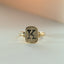 Lexy signet ring 14k gold
